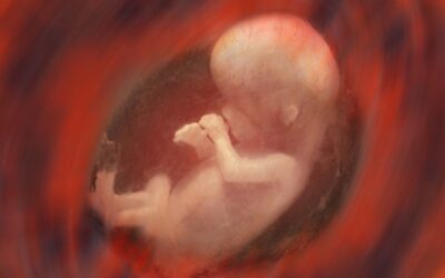 71: Sanctity of Human Life Sunday